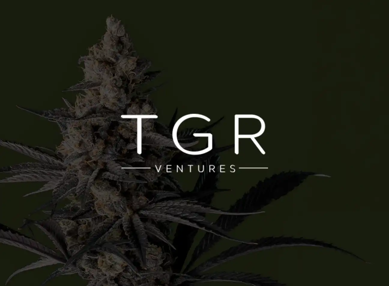 Streamlining TGR's Global Commerce with PWA